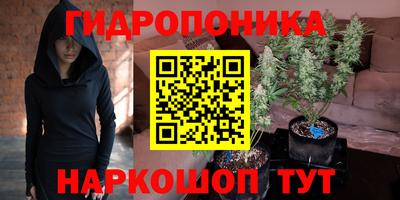 стафф Чебоксары