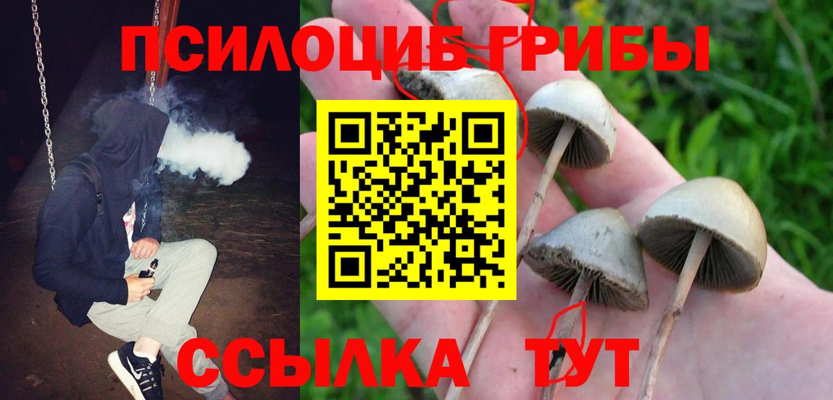 Псилоцибиновые грибы Psilocybine cubensis  Псилоцибиновые грибы Psilocybine cubensis  Вход с VPN  Лыткарино 